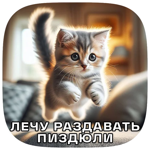 Эмодзи Cats | Котики 💢