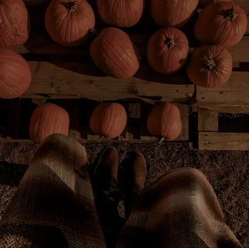 Эмодзи Autumn | Осень 🍂