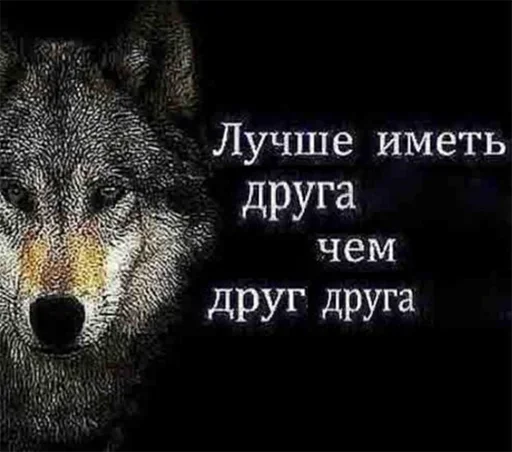 Be a wolf emoji 🤔