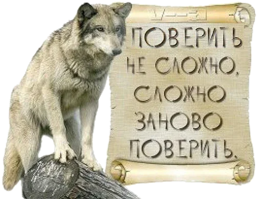 Be a wolf emoji 😑