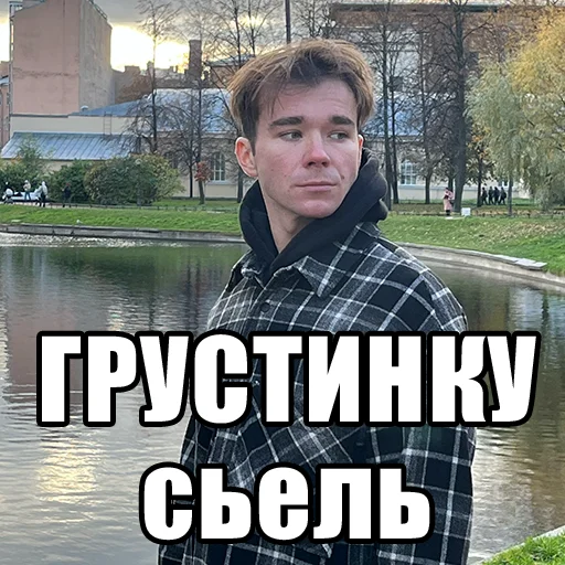 Эмодзи Mikhail Boldurev 😔