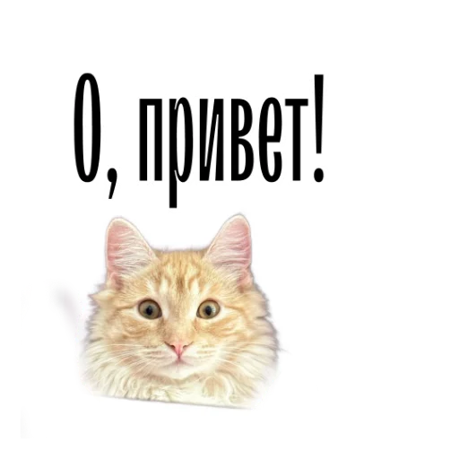 cat channel meow 2 emoji 👋