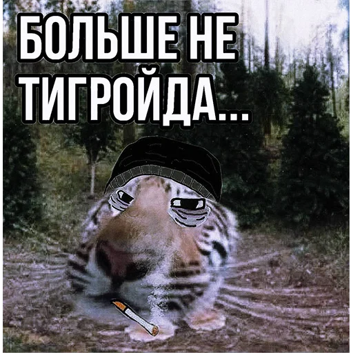 Эмодзи Тигр 🤔