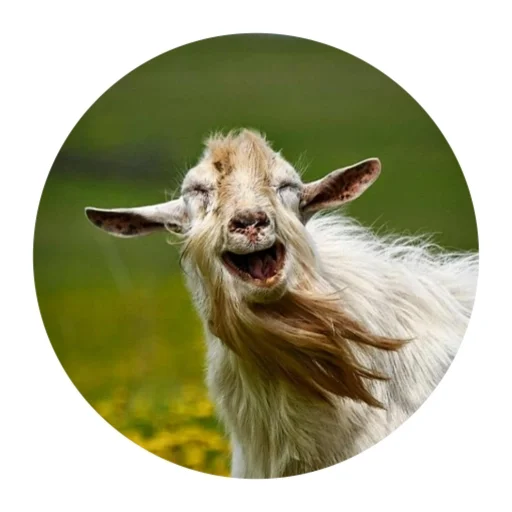 Funny Goat emoji 😃