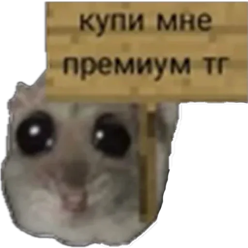 Эмодзи sad hamster 🥺