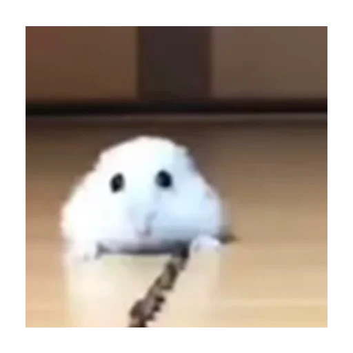 Эмодзи sad hamster 😶