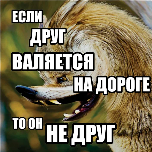 Волчьи мемы emoji 🛣