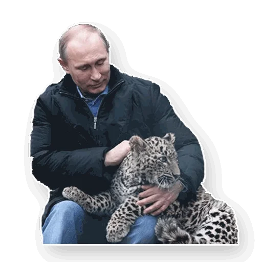 Путин emoji 🐱