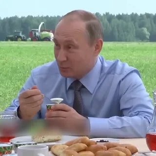 Эмодзи Putin Russia 🥄