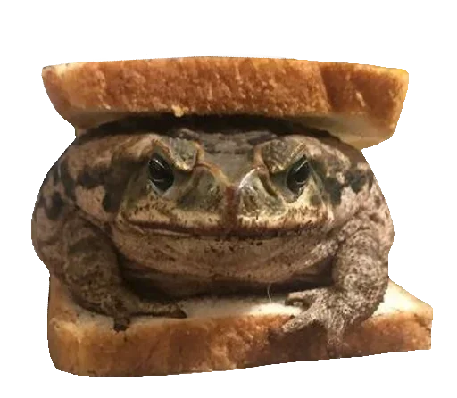 Эмодзи Toad 🐸