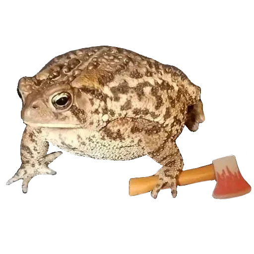Эмодзи Toad 🐸