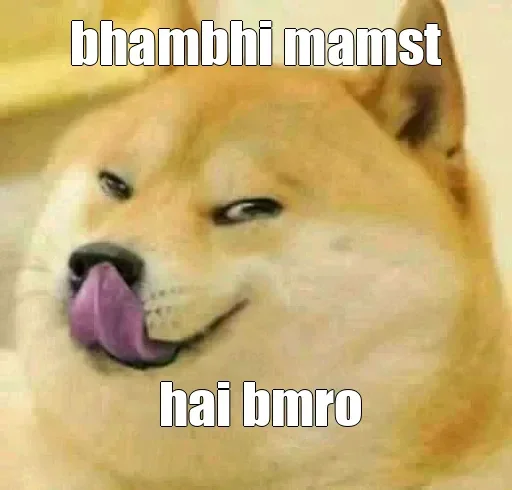Shiba Memes emoji 🏵