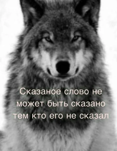 Эмодзи Волчьи цитаты 🐺