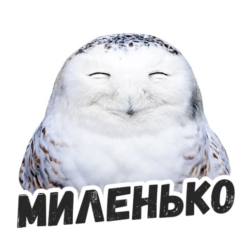 Telegram stickers Жиза сов