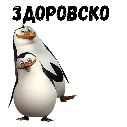 Telegram stickers :: Пингвины из Мадагаскара