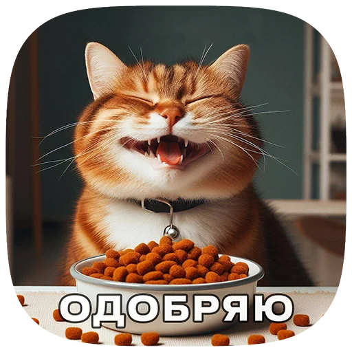 Cats | Котики emoji 😋