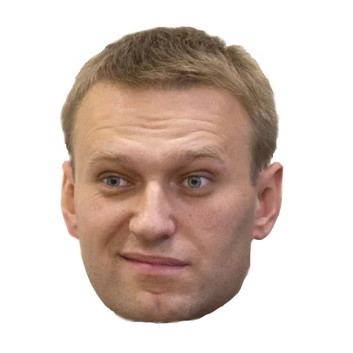 Alexey Navalny emoji 😏
