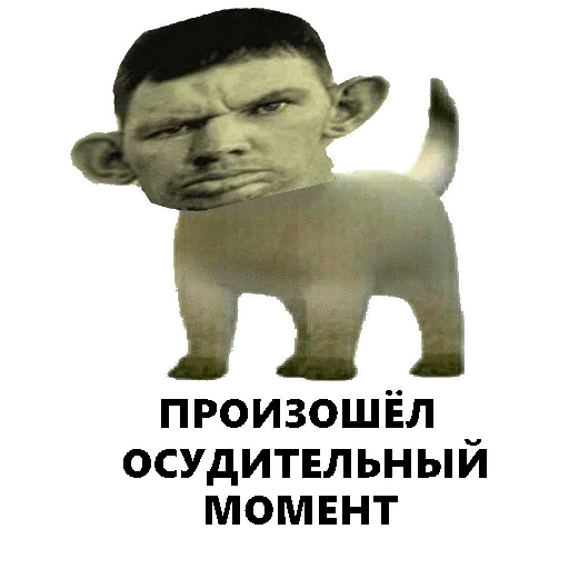 ArePek memes sticker 🤔