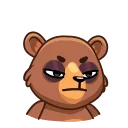 Медведь Акмаль emoji 😡