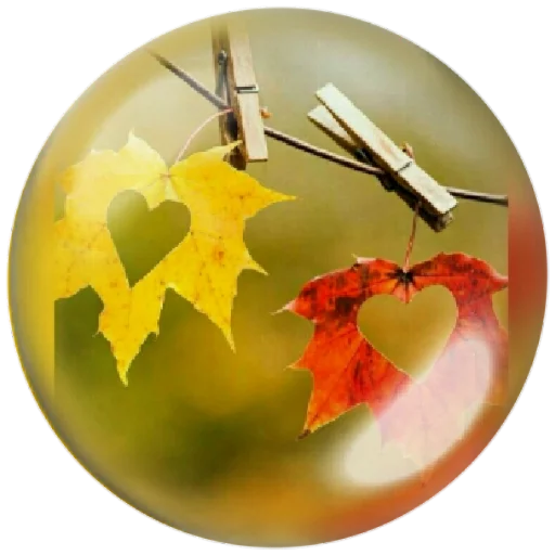 autumnpoet sticker 🍁
