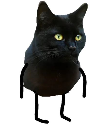 Black Cat stiker 😚