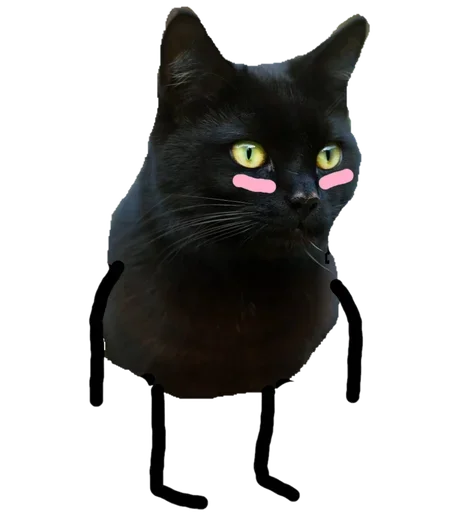 Black Cat stiker 😜