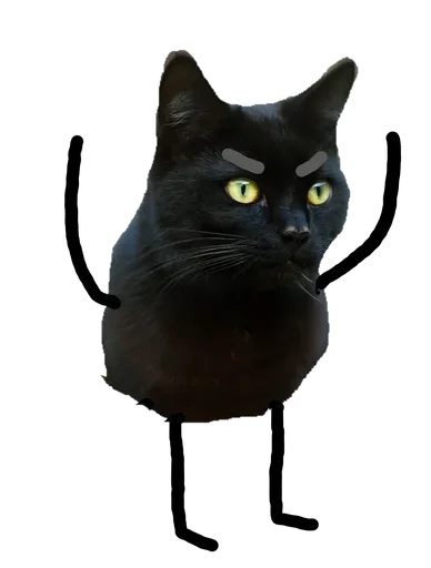 Black Cat stiker 😕