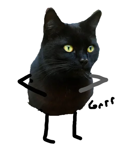 Black Cat stiker 😫