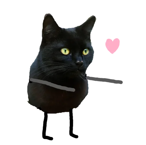 Black Cat stiker 😗