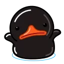 Black Duck stiker 🤷‍♂️