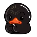 Black Duck stiker 🤔