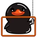 Black Duck stiker 😱