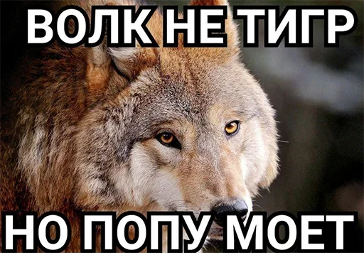 Эмодзи Be a wolf 😮