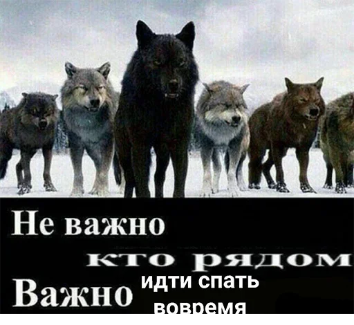 Эмодзи Be a wolf 🙄