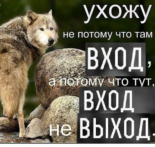 Эмодзи Be a wolf 😲