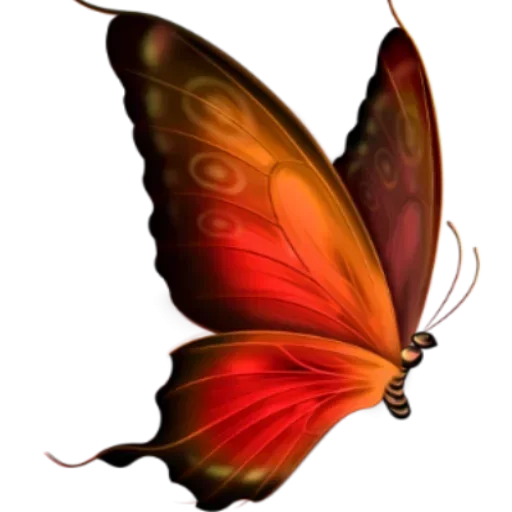 Бабочки и Радость sticker 😛