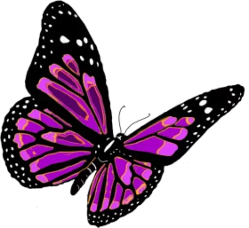 Бабочки и Радость sticker 🤠