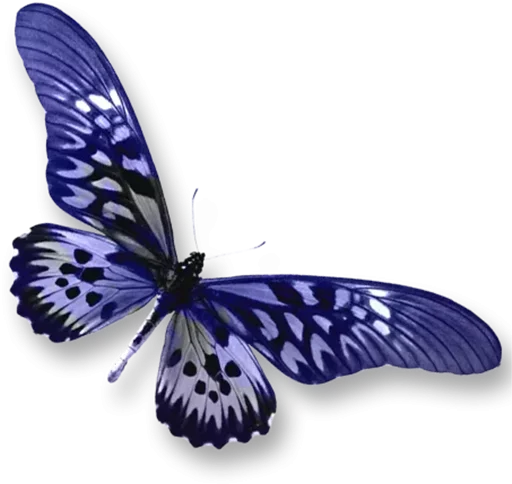 Бабочки и Радость sticker ☹️