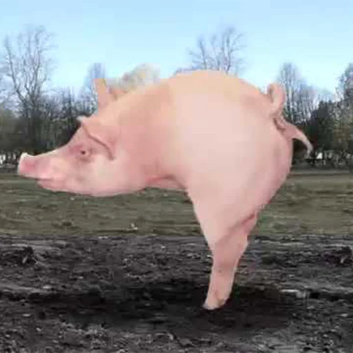 большая свинячья ферма sticker 😠
