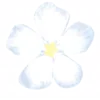 Telegram emoji Flowers | Цветы