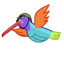 Colibri stiker 💣
