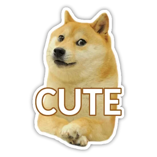 Cute Dog sticker 🙃
