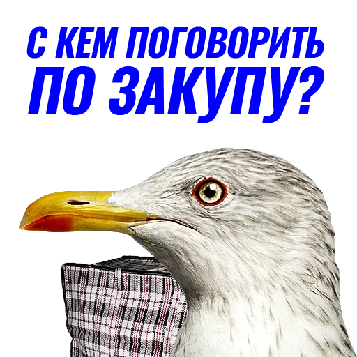 Telegram stickers Чaйка