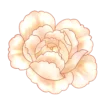 Telegram emojis flowers