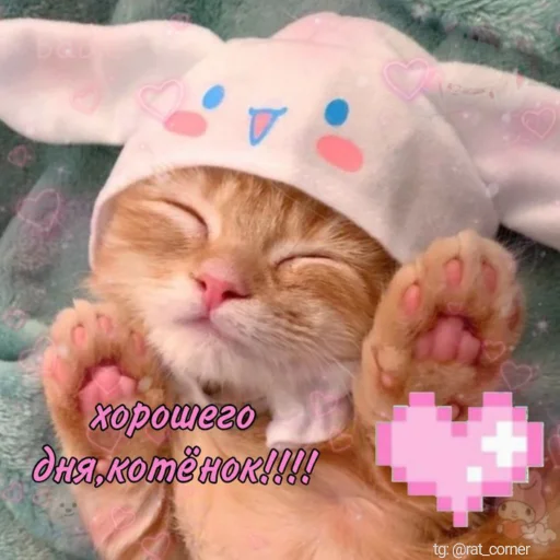 💞`cute pics!! sticker 💞