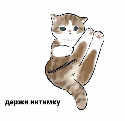 Telegram stickers Cats memes