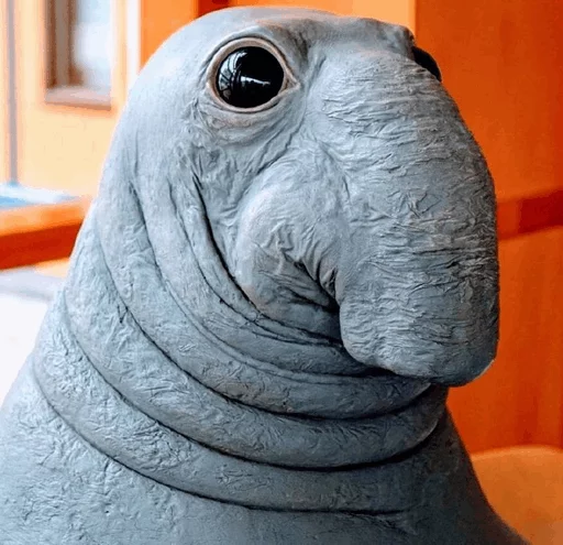 Эмодзи Elephant seal 😂