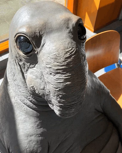 Эмодзи Elephant seal 😐