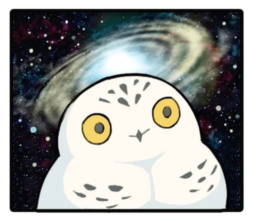 Energetic Snowy Owls sticker 🔭