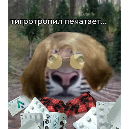 Эмодзи Тигр 🤔